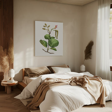 Alder Botanical Study | Canvas - Room Interior 2