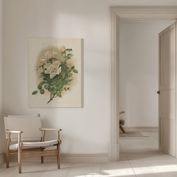 Duchesse De Vallombrosa Roses | Canvas - Room Interior 1
