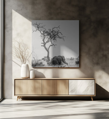 African Elephant Lone Tree | Canvas - Room Interior 2