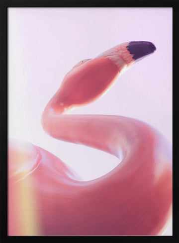 Graceful Pink Flamingo | Poster - Black Metal Frame Interior