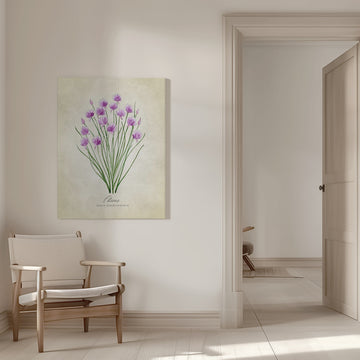 Fresh Chives Bloom | Canvas - Room Interior 1