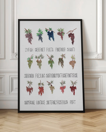 Wine Grape Varieties | Poster - Room Interior 1