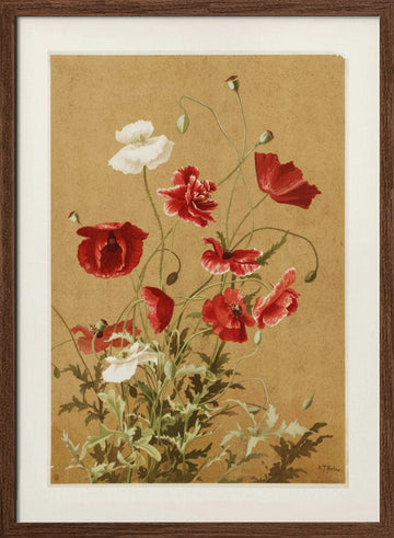 Poppies No. 3 By Ellen Thayer Fisher | Poster - Walnut Frame Interior