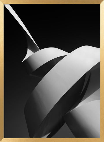 Modern Abstract Curves | Poster - Gold Frame Interior