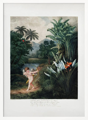 Cupid Inspiring Plants with Love from The Temple of Flora (1807) | Poster - White Frame Interior