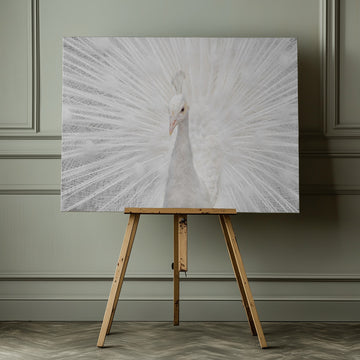 Majestic White Peacock | Canvas - Room Interior 1
