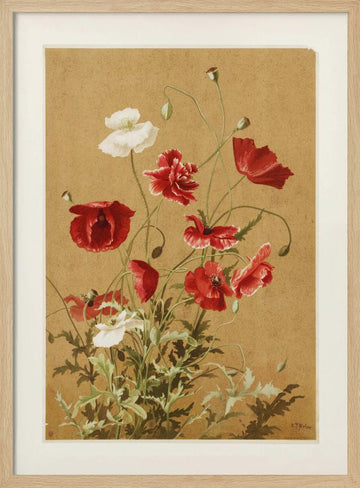 Poppies No. 3 By Ellen Thayer Fisher | Poster - Wood Frame Interior