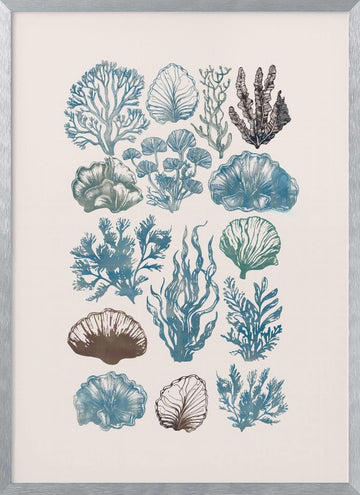 Vintage Marine Flora | Poster - Silver Frame Interior