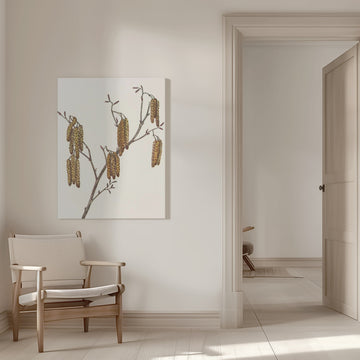 Hazel Alder (alnus Regosa) From North American Wildflowers (1925) By Mary Vaux Walcott. | Canvas - Room Interior 1