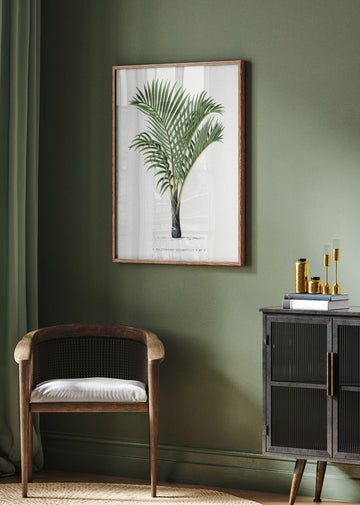 Xvii Hyophorbe V | Poster - Room Interior 2