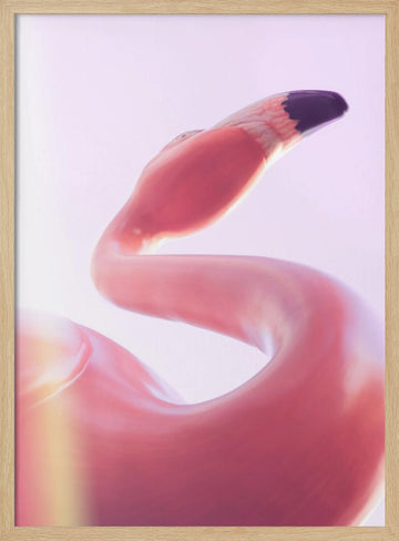 Graceful Pink Flamingo | Poster - Wood Frame Interior