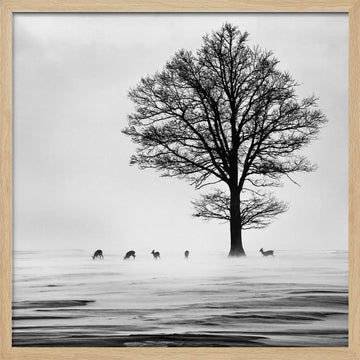 Winter Tree and Deer | Poster - Wood Frame Interior