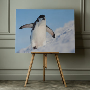 Playful Penguin Slide | Canvas - Room Interior 1