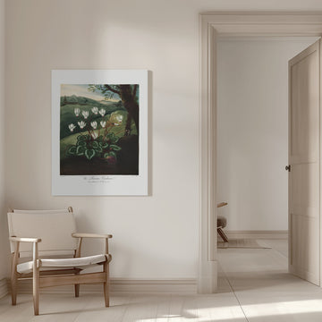 The Persian Cyclamen from The Temple of Flora (1807) | Canvas - Room Interior 1