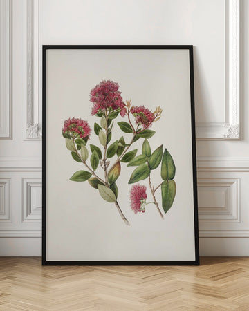 Rata By Sarah Featon (1848–1927) | Poster - Room Interior 1