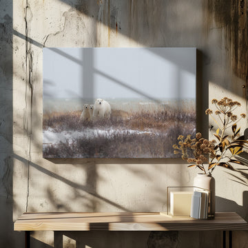 Polar Bear Family Winter | Canvas - Room Interior 2