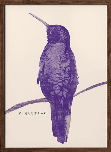 Elegant Violet Hummingbird | Poster - Walnut Frame Interior