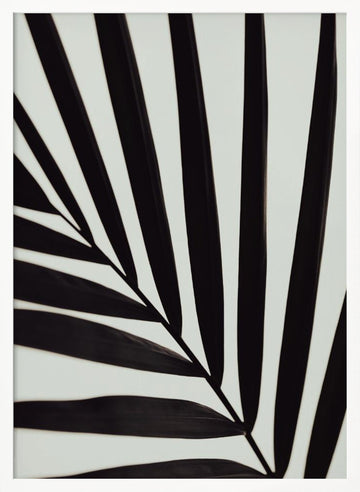 Tropical Leaf Lines | Poster - White Frame Interior