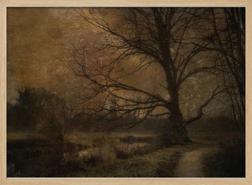 Old tree | Poster - Wood Frame Interior