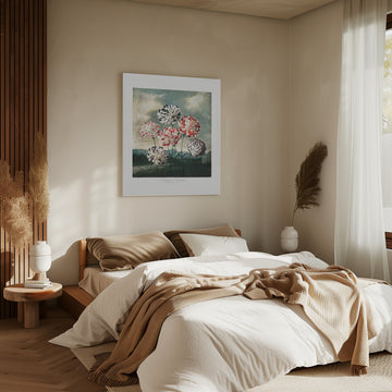 A Group of Carnations from The Temple of Flora (1807) | Canvas - Room Interior 2