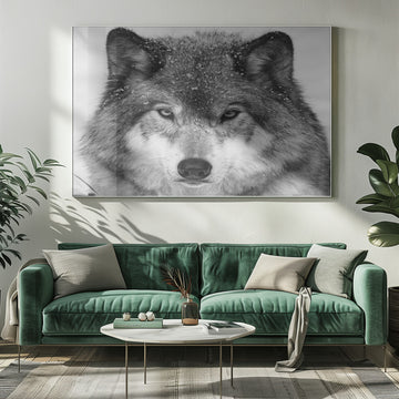 Winter Wolf Gaze | Poster - Room Interior 1