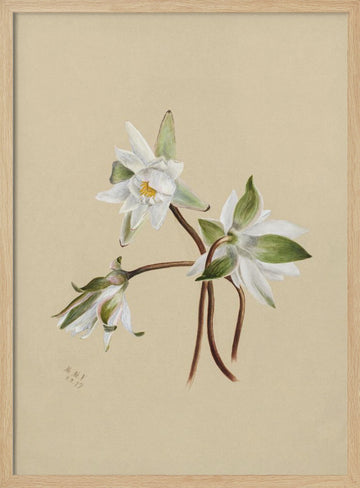 Water Lilies (1879) | Poster - Wood Frame Interior