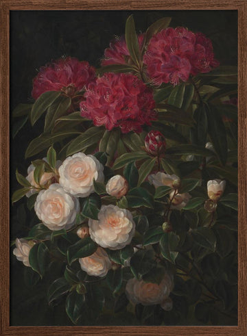 Camellias and Rhododendrons By Johan Laurentz Jensen | Poster - Walnut Frame Interior