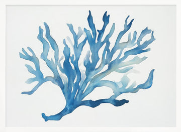 Blue Coral | Poster - White Frame Interior