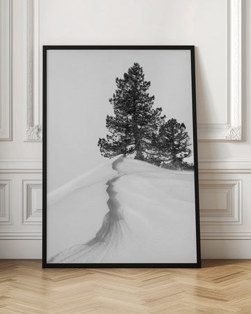 Winter Ridge Pines | Poster - Room Interior 1