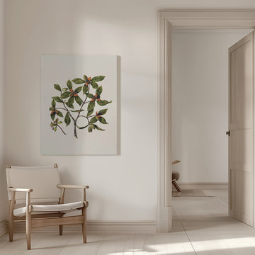 Tawhirikaro Drawn By Sarah Featon (1848–1927) | Canvas - Room Interior 1