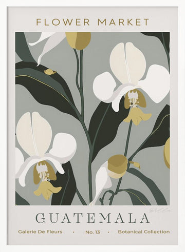 Tropical Guatemala Orchids | Poster - White Frame Interior