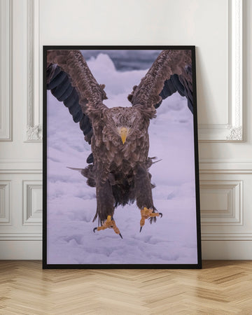 Powerful Eagle Winter Landing | Poster - Room Interior 1