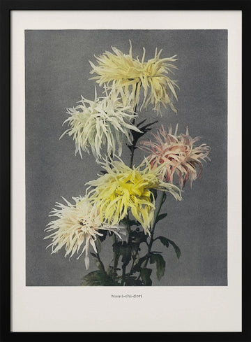 Nami–chi–dori | Poster - Black Metal Frame Interior