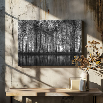 Black White Forest Reflections | Canvas - Room Interior 2
