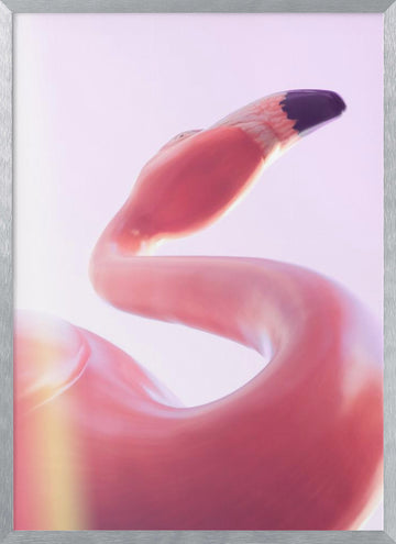 Graceful Pink Flamingo | Poster - Silver Frame Interior