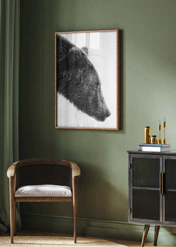 Grizzly Bear Profile | Poster - Room Interior 2