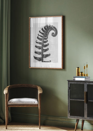 Polystichum Munitum | Poster - Room Interior 2