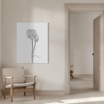 Elegant Tulip Pair | Canvas - Room Interior 1
