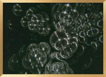 Sparkling Disco Balls | Poster - Gold Frame Interior