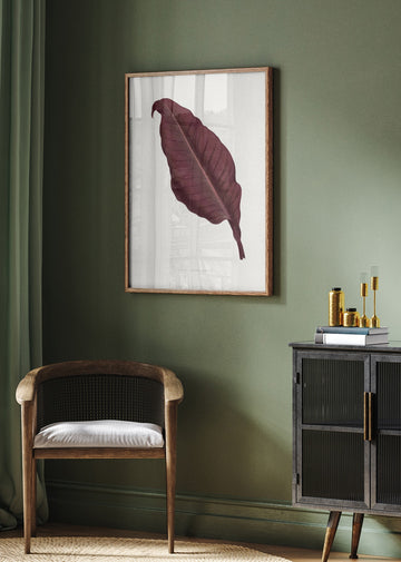 Pink Canna Atronigricans Leaf Illustration | Poster - Room Interior 2