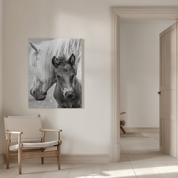 Mare and Foal | Canvas - Room Interior 1