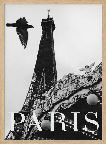 Paris Dove | Poster - Wood Frame Interior