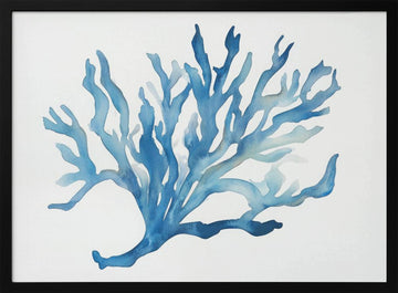 Blue Coral | Poster - Black Metal Frame Interior