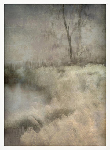 Little ven | Poster - White Frame Interior
