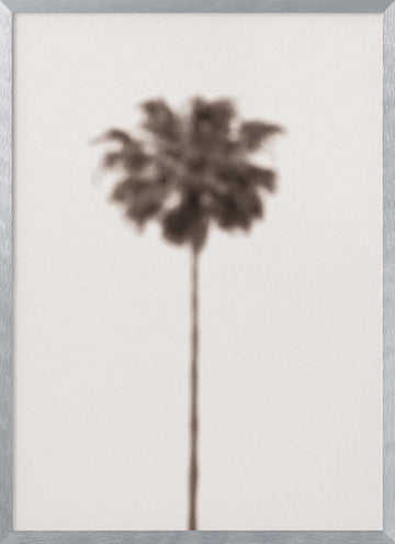 Blurred Palm Tree | Poster - Silver Frame Interior