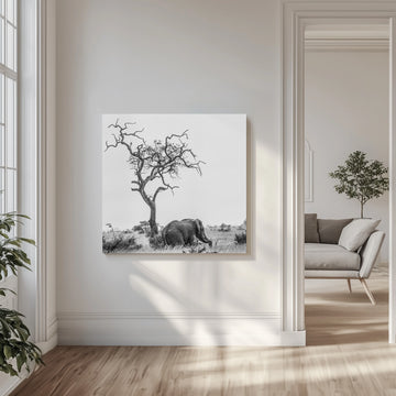 African Elephant Lone Tree | Canvas - Room Interior 1