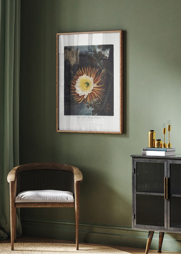 The Night–Blowing Cereus from The Temple of Flora (1807) | Poster - Room Interior 2