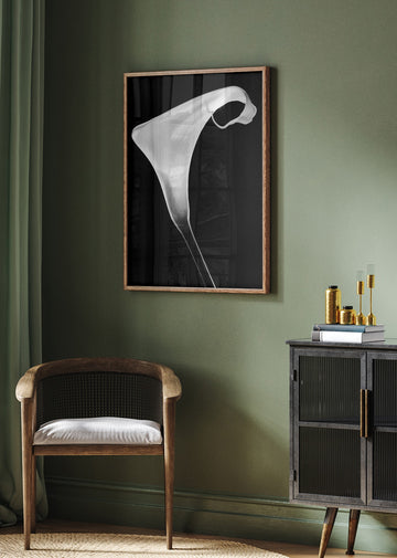 Elegant Calla Lily | Poster - Room Interior 2