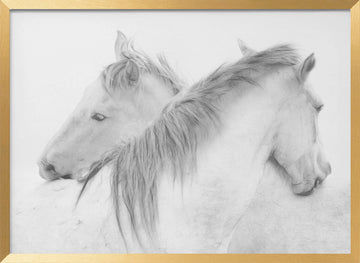 Ethereal White Horses | Poster - Gold Frame Interior