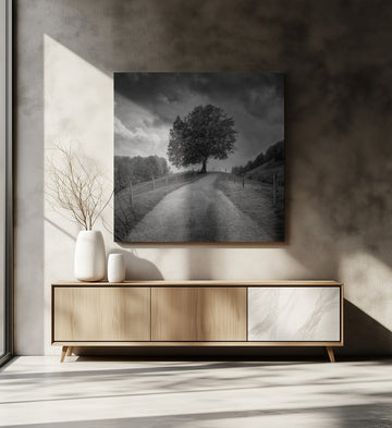 Winding Path Lone Tree | Canvas - Room Interior 2